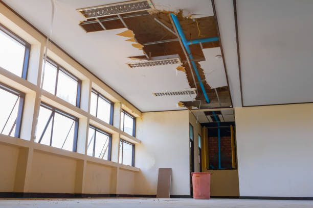 Best Mold removal after water damage  in Mount Pleasant, NC