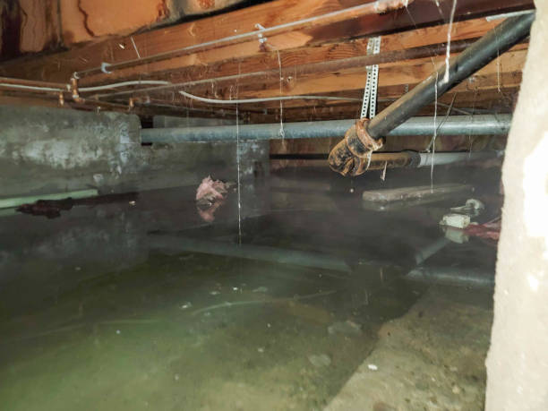 Best Water damage restoration near me  in Mount Pleasant, NC