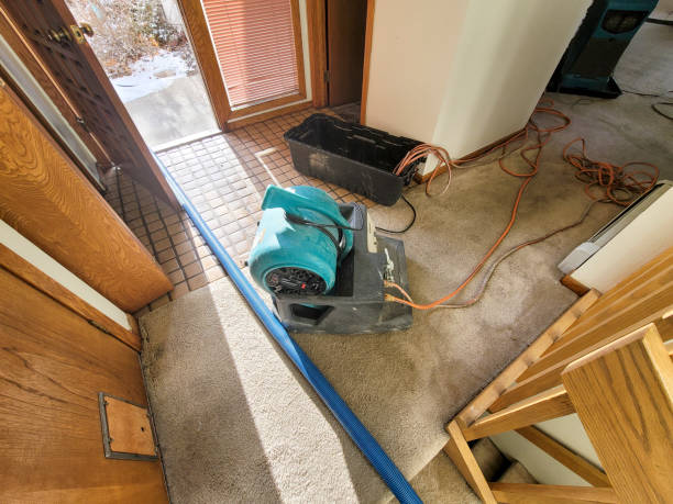 Best Professional water damage repair  in Mount Pleasant, NC