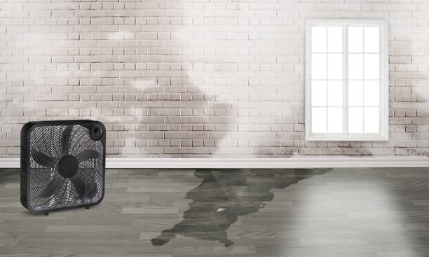Best Fire Damage Restoration  in Mount Pleasant, NC