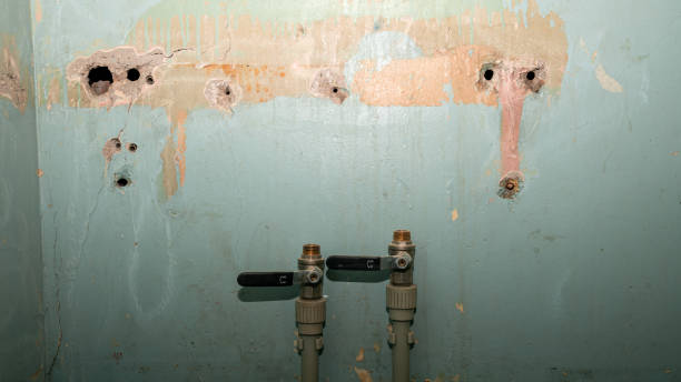  Mount Pleasant, NC Water damage restoration Pros