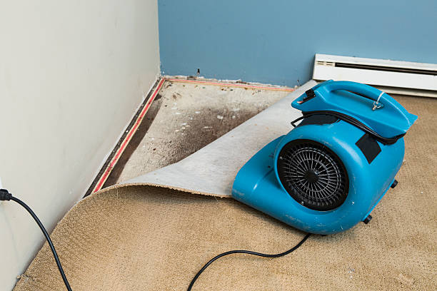 Best Sewage cleanup and water damage restoration  in Mount Pleasant, NC